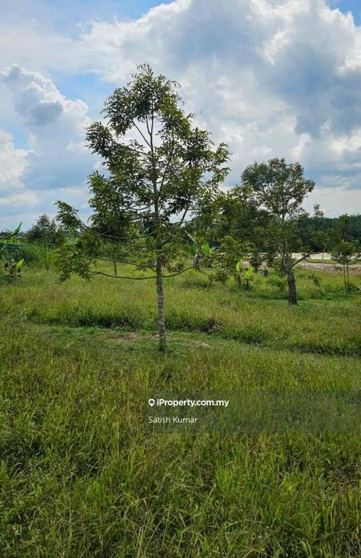 Tanah Pertanian untuk Dijual di Karak, Bentong oleh Satish Kumar - iProperty.com.my