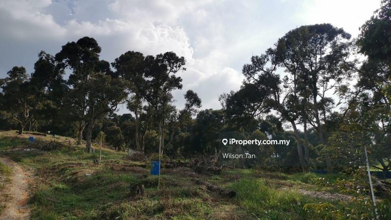 Agricultural Land for Sale in Beranang, Ulu Langat by Wilson Tan - iProperty.com.my