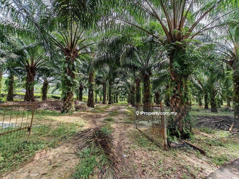 Tanah Pertanian untuk Dijual di Taman Rembau Utama, Rembau oleh Candy Soon - iProperty.com.my