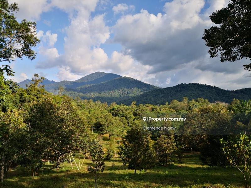 Agricultural Land for Sale in Ulu Slim, Slim River by Clemence Ngew - iProperty.com.my