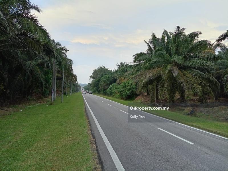 Tanah Pertanian untuk Dijual di Kampung Ladang Sempah, Sungai Jawi oleh Kelly Yee - iProperty.com.my