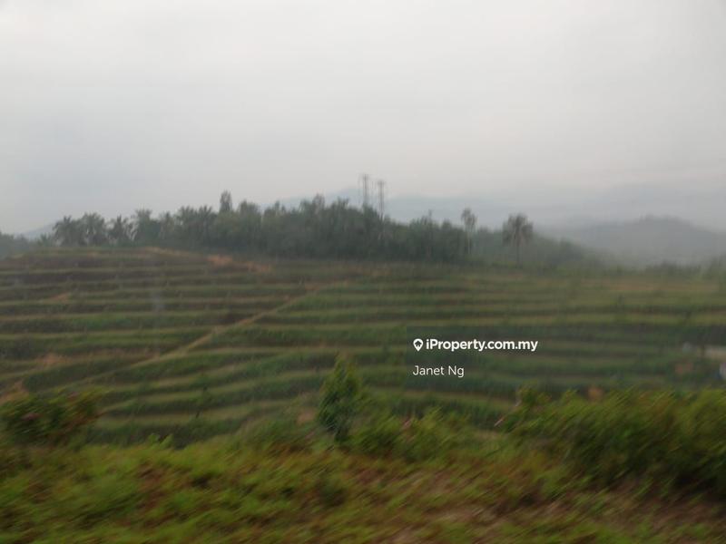 Agricultural Land for Sale in Taman Ampang Pecah, Kuala Kubu Bharu by Janet Ng - iProperty.com.my