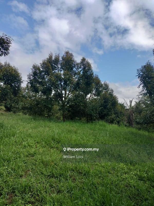 Agricultural Land for Sale in Sungai Ruan, Raub by William Looi - iProperty.com.my