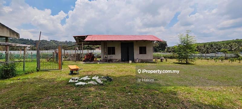 Agricultural Land for Sale in Batang Kali, Selangor by Iz Hakim - iProperty.com.my
