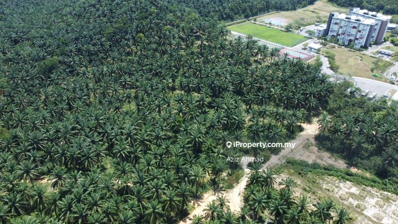 Agricultural Land for Sale in Rembau, Rembau by Aziz Ahmad - iProperty.com.my