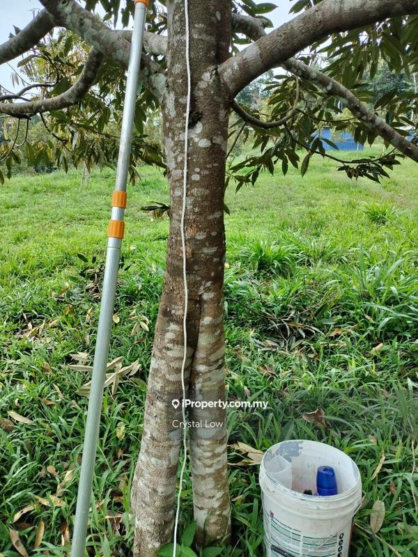 Tanah Pertanian untuk Dijual di Sega, Raub oleh Crystal Low - iProperty.com.my
