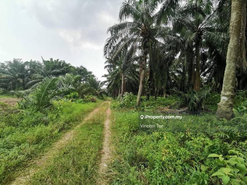 Tanah Pertanian untuk Dijual di Bukit Changgang, Banting oleh Vincent Tee - iProperty.com.my