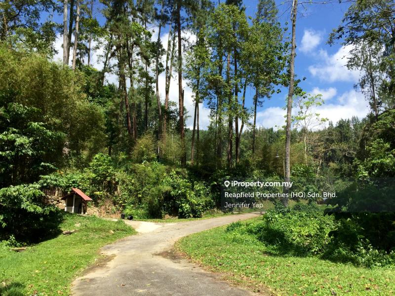 Residential Land for Sale in Janda Baik, Bentong by Jennifer Yap - 

Road level plot - iProperty.com.my