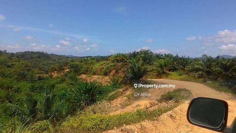 Tanah Pertanian untuk Dijual di Taman Gua Musang, Gua Musang oleh CY Khoo - iProperty.com.my