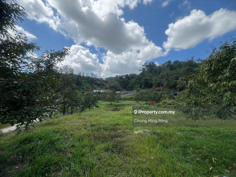 Agricultural Land for Sale in Kampung Pantai, Pantai by Chong Ming Ming - iProperty.com.my