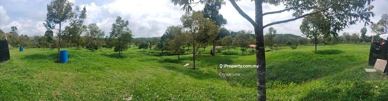 Tanah Pertanian untuk Dijual di Raub, Raub oleh Crystal Low - iProperty.com.my