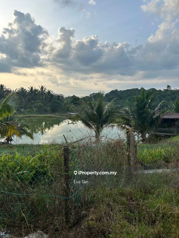 Agricultural Land for Sale in Kuala Sedili, Mawai, Kota Tinggi by Eva Tan - iProperty.com.my