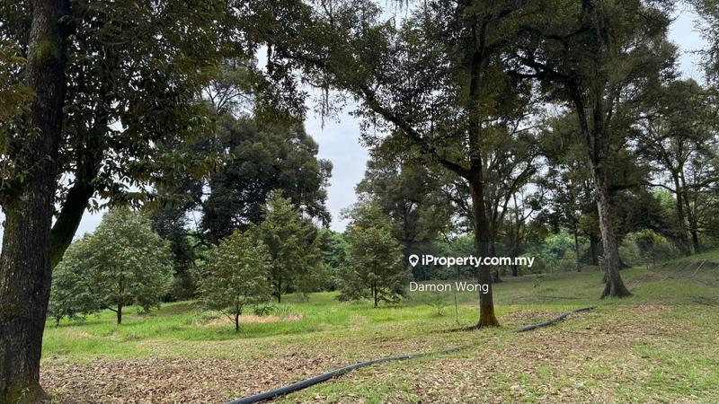 Agricultural Land for Sale in Karak, Karak by Damon Wong - iProperty.com.my