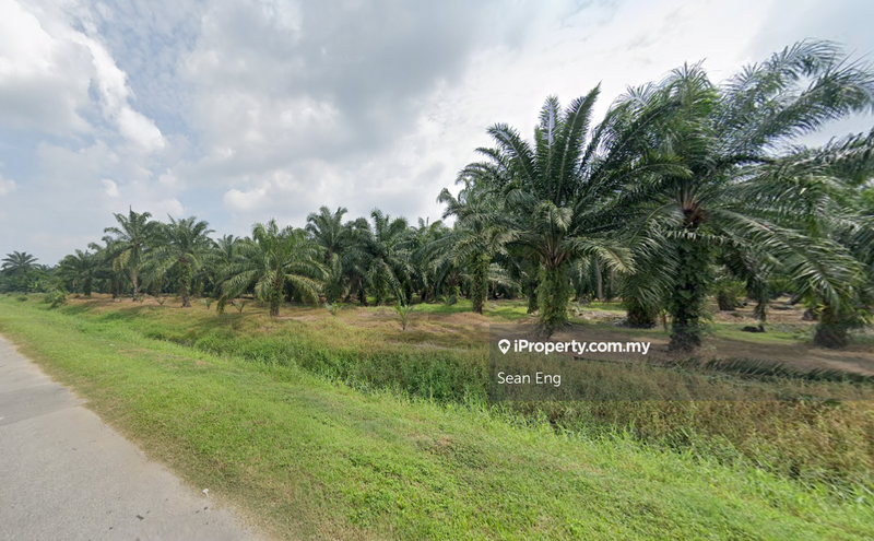 For Sale - Agricultural Land