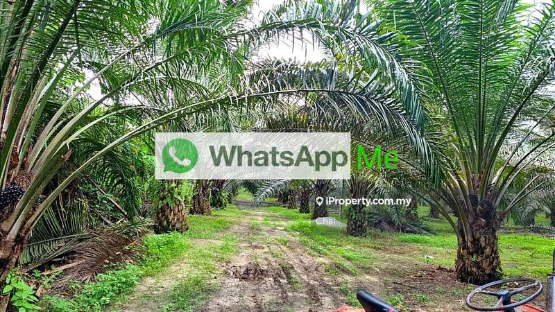 Industrial Land for Sale in Kampung Teluk Mengkuang, Telok Panglima Garang by Chai - iProperty.com.my