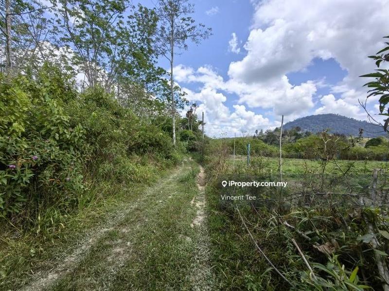 Agricultural Land for Sale in Bandar Lipis, Kuala Lipis by Vincent Tee - iProperty.com.my