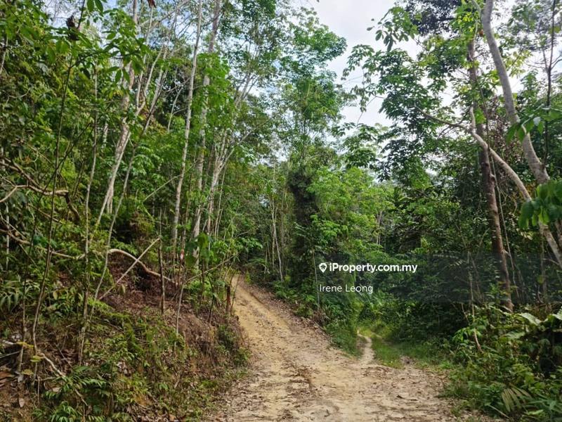 Agricultural Land for Sale in Karak, Pahang by Irene Leong - iProperty.com.my