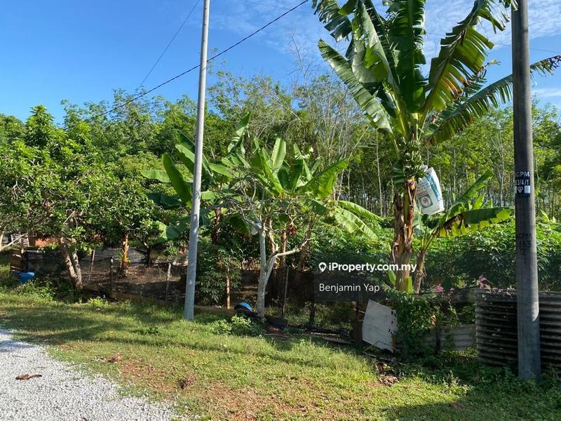 Agricultural Land for Sale in Panchor, Durian Tunggal by Benjamin Yap - iProperty.com.my