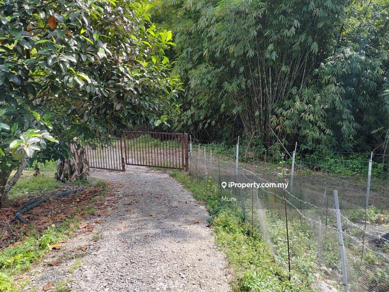 Agricultural Land for Sale in Jelapang, Ipoh by Muni - iProperty.com.my