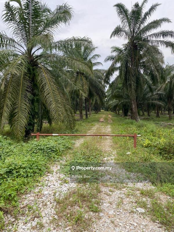 Tanah Pertanian untuk Dijual di Kapar, Klang oleh Ballex Bee - iProperty.com.my