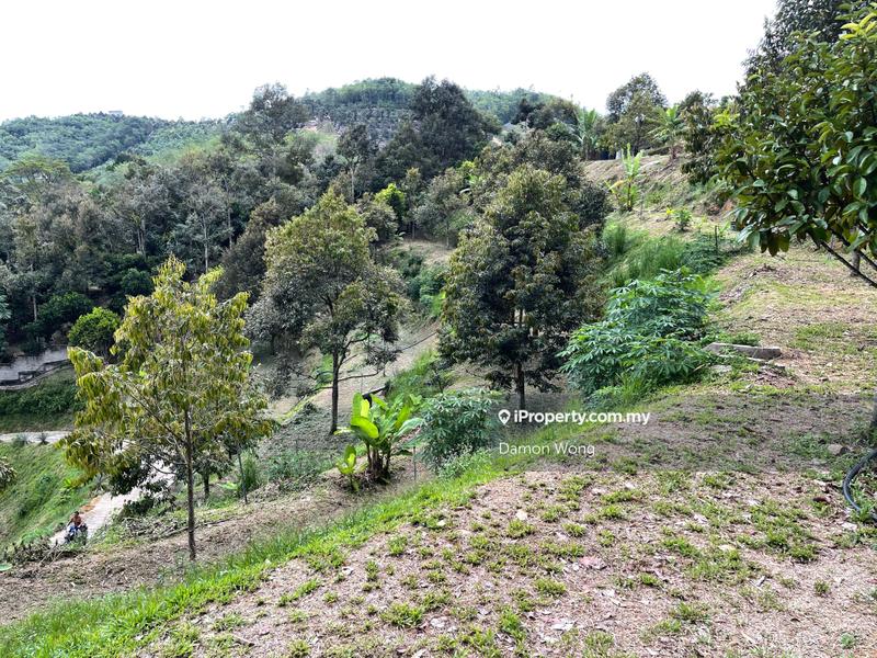 Agricultural Land for Sale in Karak, Bentong by Damon Wong - iProperty.com.my