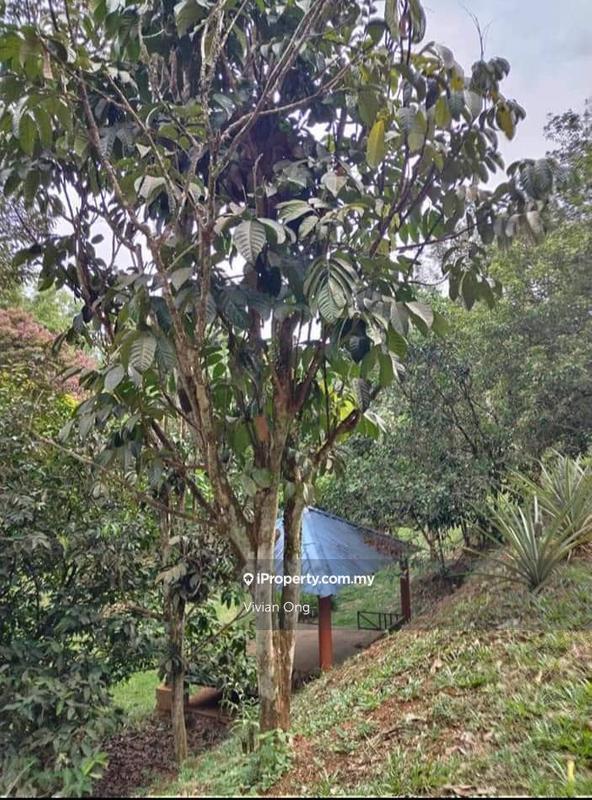 For Sale - 3.5 acres agricultural land for sale