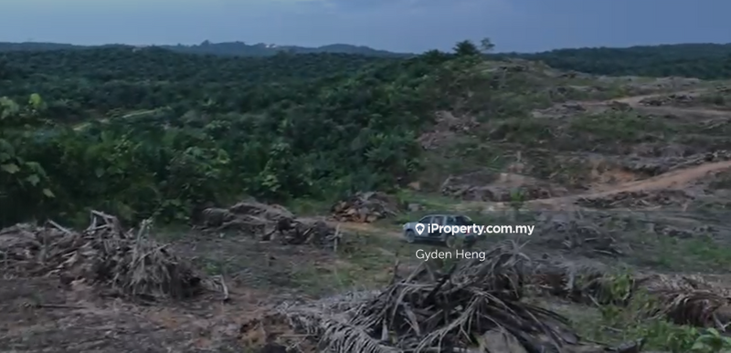 Tanah Pertanian untuk Dijual di Sungai Sayong, Kluang oleh Gyden Heng - iProperty.com.my