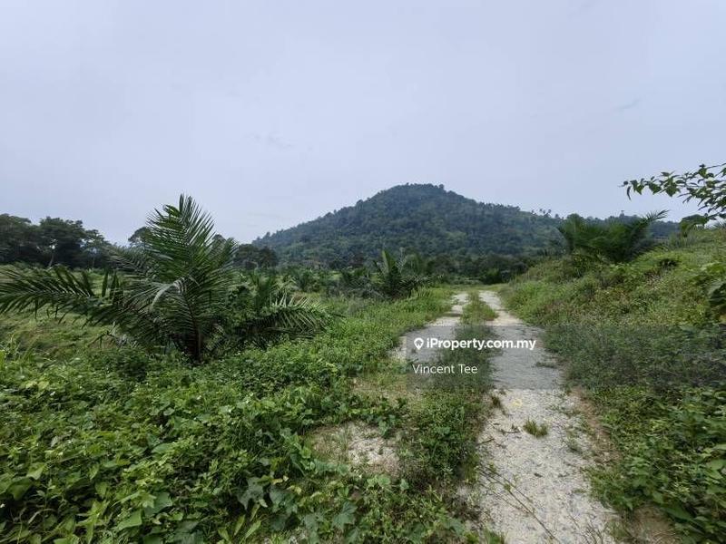 Tanah Pertanian untuk Dijual di Kampung Renal, Kuala Klawang oleh Vincent Tee - iProperty.com.my