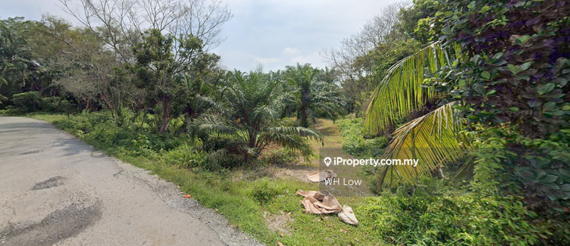 Agricultural Land for Sale in Pulau Indah, Klang by WH Low - iProperty.com.my