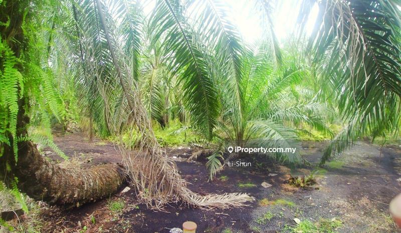 Tanah Pertanian untuk Dijual di Banting, Banting oleh Li-Shun - iProperty.com.my