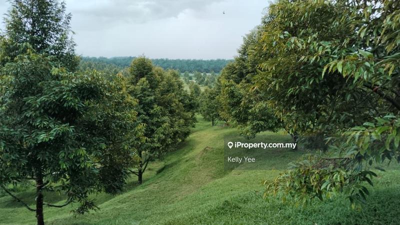 Tanah Pertanian untuk Dijual di Kampung Sungai Terap, Serdang oleh Kelly Yee - iProperty.com.my