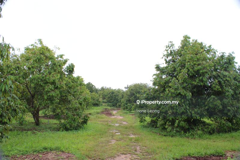 Agricultural Land for Sale in Kampung Selandar, Selandar by Irene Leong - iProperty.com.my