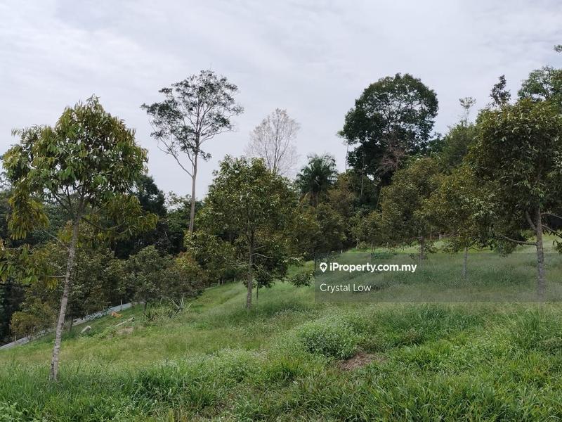 Tanah Pertanian untuk Dijual di Sega, Raub oleh Crystal Low - iProperty.com.my