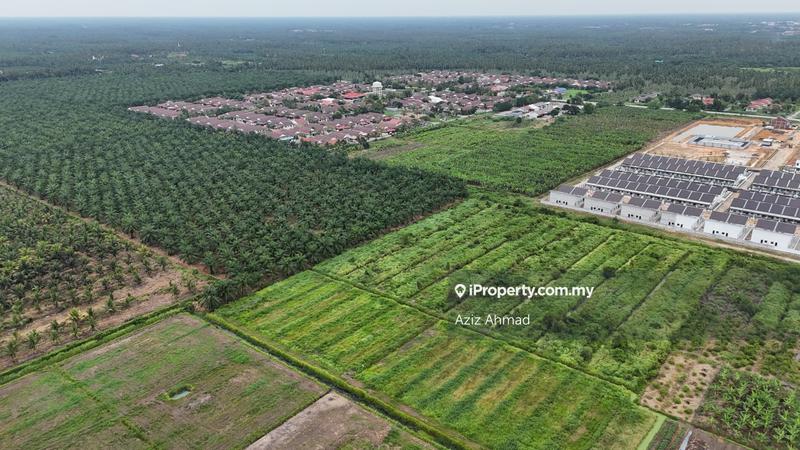 Agricultural Land for Sale in 3ayxd, Sabak Bernam by Aziz Ahmad - iProperty.com.my