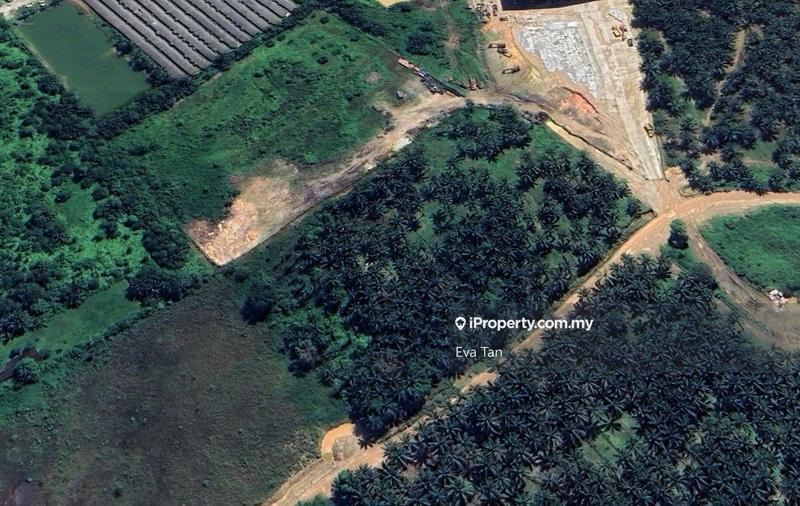 For Sale - Pekan Nanas Ulu Choh Industrial Land