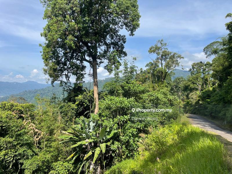 Agricultural Land for Sale in Bentong, Pahang by Damon Wong - iProperty.com.my