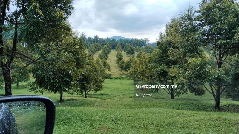 Tanah Pertanian untuk Dijual di Kampung Sungai Terap, Serdang oleh Kelly Yee - iProperty.com.my