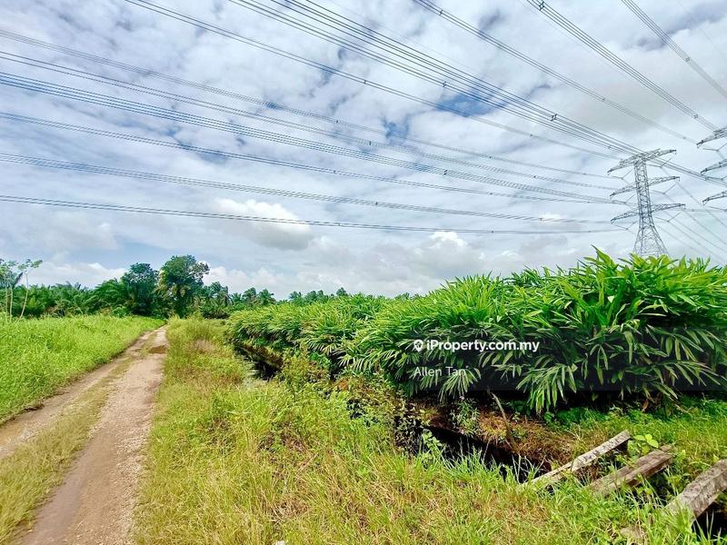 Agricultural Land for Sale in Pekan Nenas, Jeram Batu by Allen Tan - iProperty.com.my