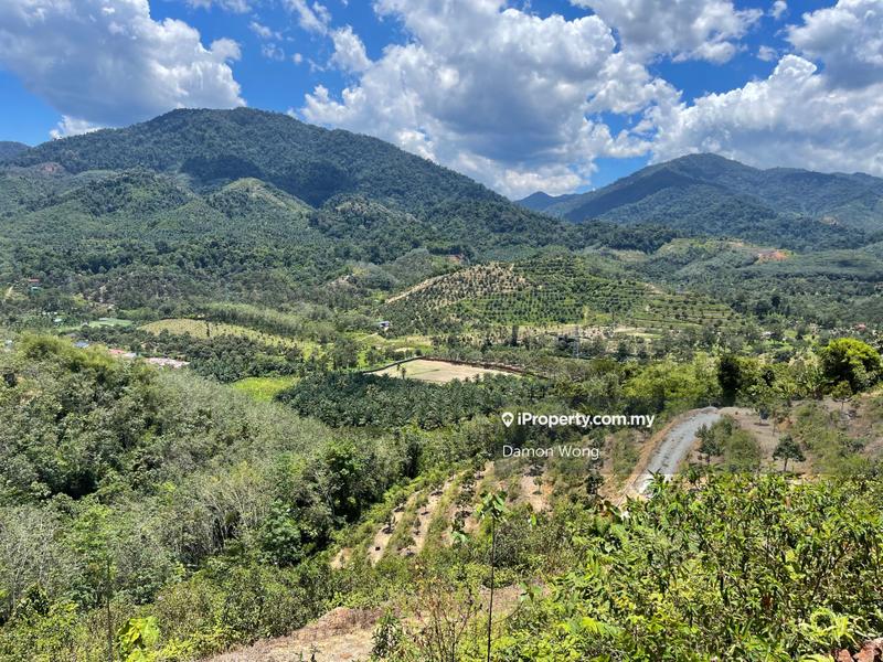 Agricultural Land for Sale in Bandar Tras, Raub by Damon Wong - iProperty.com.my