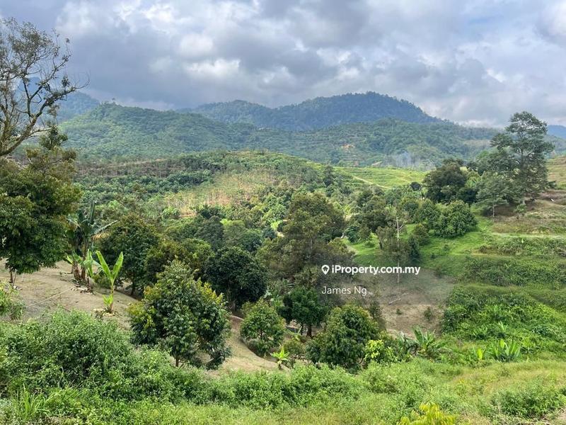 Agricultural Land for Sale in SG.GAPOI, Karak by James Ng - iProperty.com.my