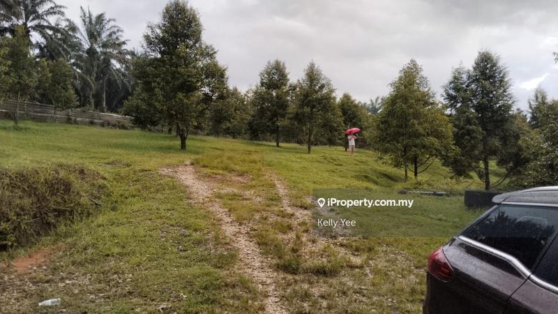 Tanah Pertanian untuk Dijual di Kampung Sungai Terap, Serdang oleh Kelly Yee - iProperty.com.my