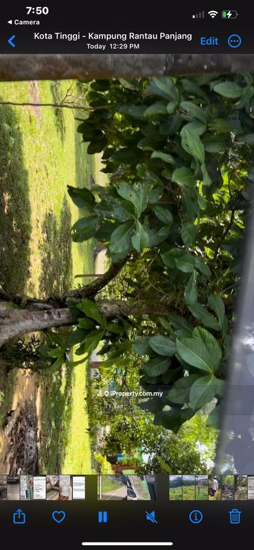 Tanah Pertanian untuk Dijual di Kampung Rantau Panjang Kota Tinggi, Kota Tinggi oleh TY Tan - iProperty.com.my