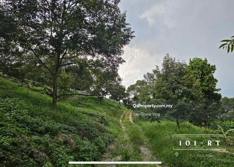 Agricultural Land for Sale in Kampung Sungai Makau, Hulu Langat by Yap Chew Ying - iProperty.com.my