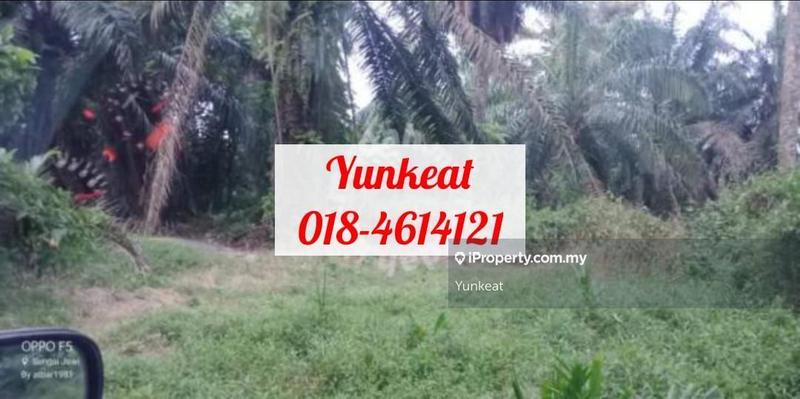 Agricultural Land for Sale in Changkat, Nibong Tebal by Yunkeat - iProperty.com.my