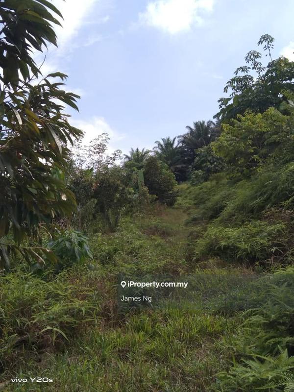 Tanah Pertanian untuk Dijual di Seri Telemong, Telemong oleh James Ng - iProperty.com.my