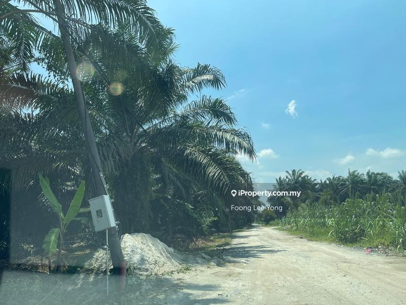 Agricultural Land for Sale in Kampung Jenjarom, Jenjarom by Foong Lee Yong - iProperty.com.my
