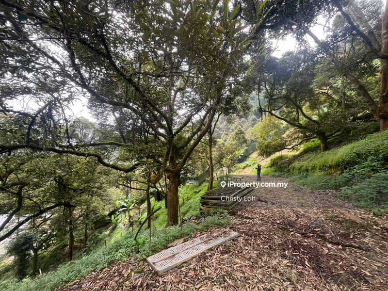 Tanah Pertanian untuk Dijual di Kawasan Perindustrian Bentong, Bentong oleh Christy Loh - iProperty.com.my