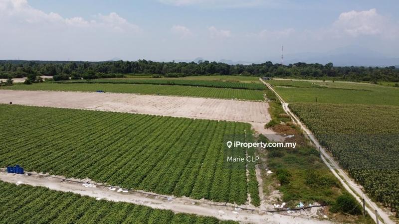 Agricultural Land for Sale in Kota Bharu, Gopeng by Marie CLP - iProperty.com.my