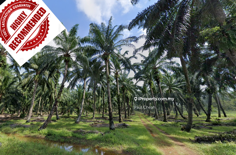 For Sale - 3 acre Industry Land For Sale In Ijok.