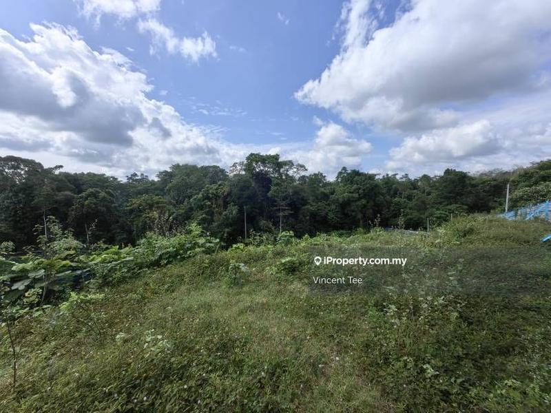 Agricultural Land for Sale in Bandar Lipis, Kuala Lipis by Vincent Tee - iProperty.com.my